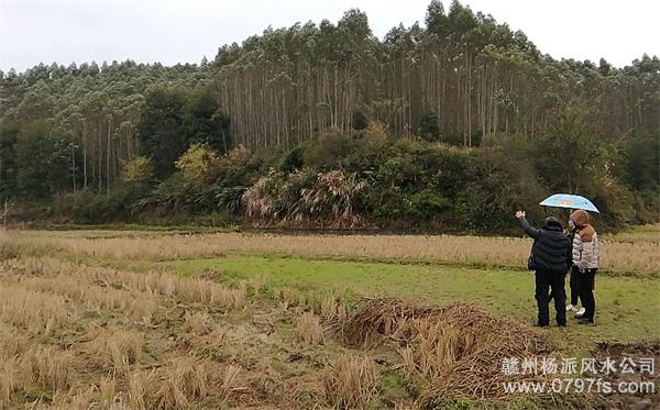 阿克苏地区陈老师带着爱徒寻龙点穴